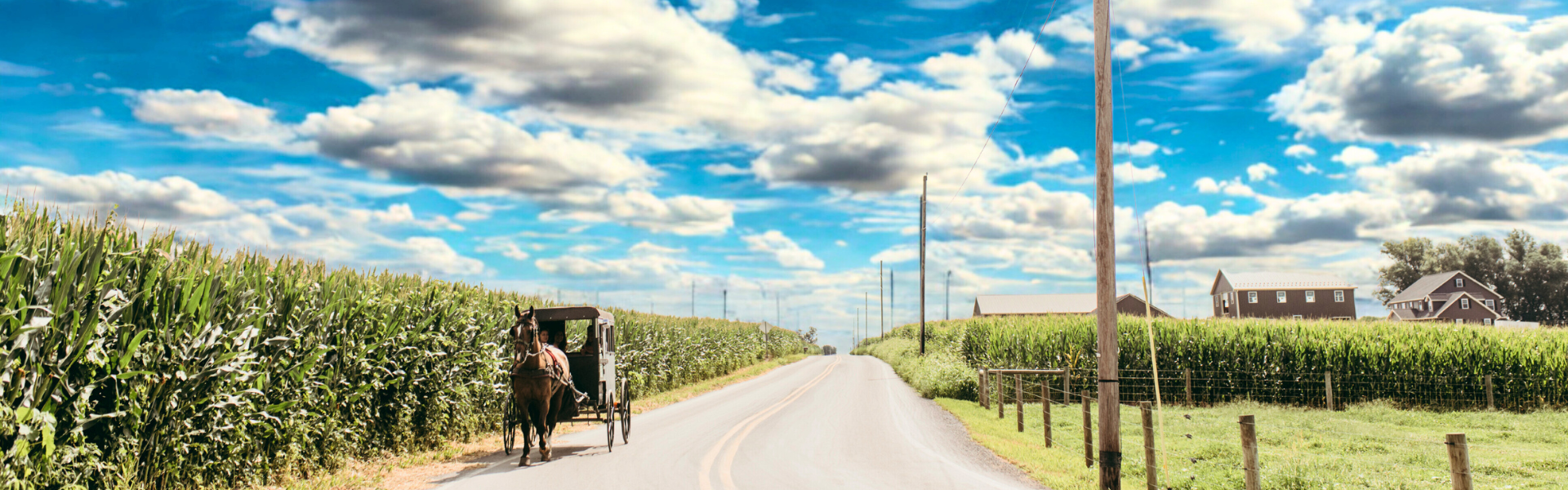 Amish Buggy Ride