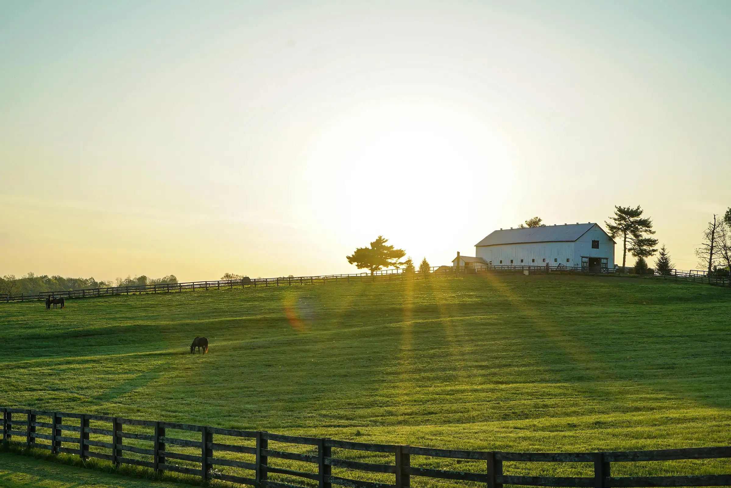 Sun Rising on Farm. Credit: pexels-brandon-randolph
