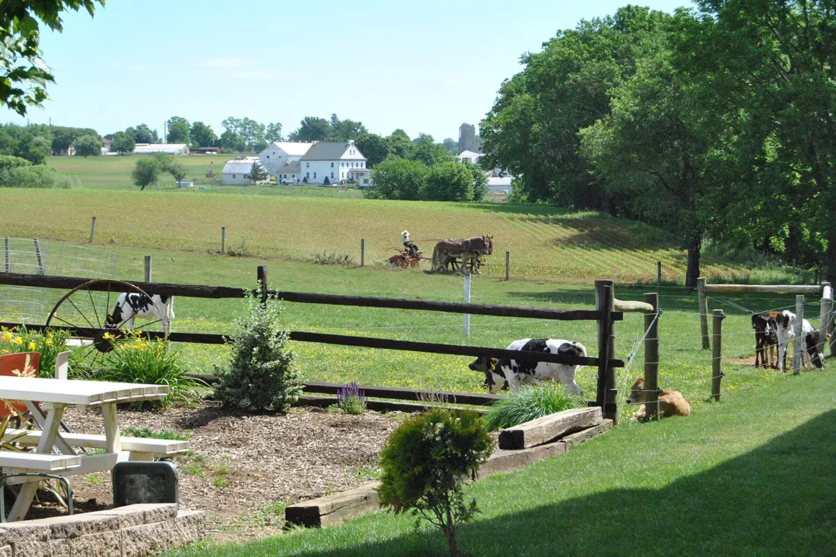 Amish Farmland Tours in Lancaster County PA