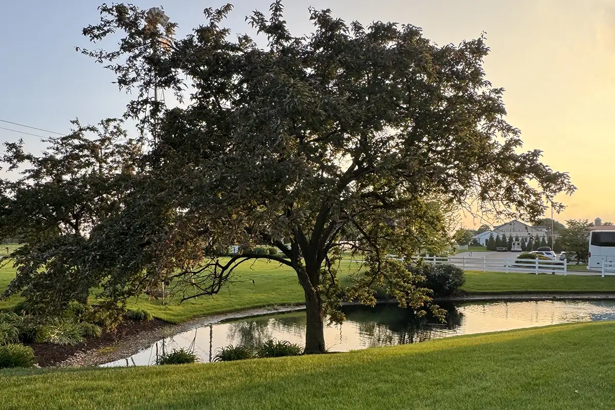 The Pond at Plain & Fancy Farm in Bird-in-Hand PA