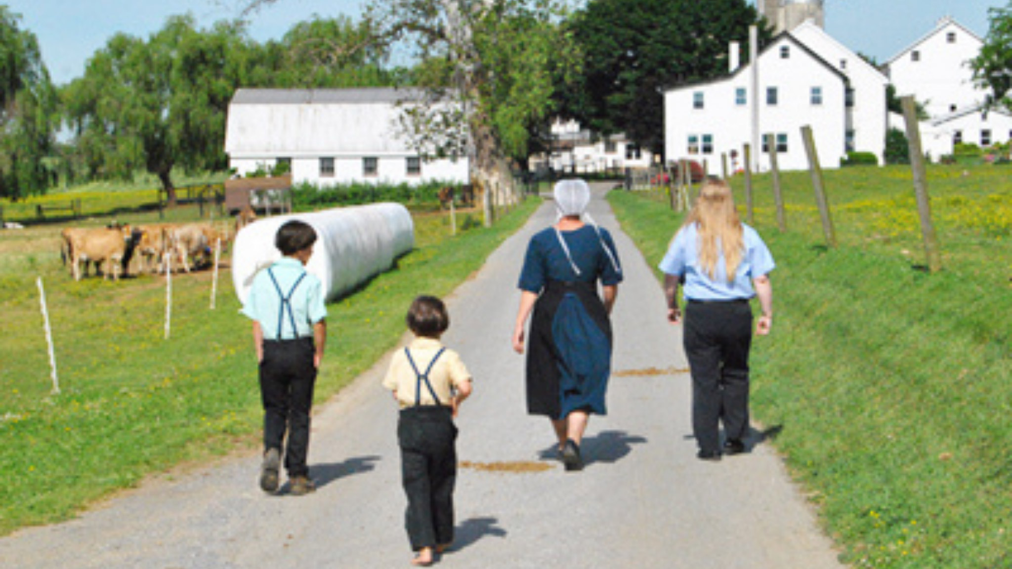 Amish Farm Tour in Lancaster County PA