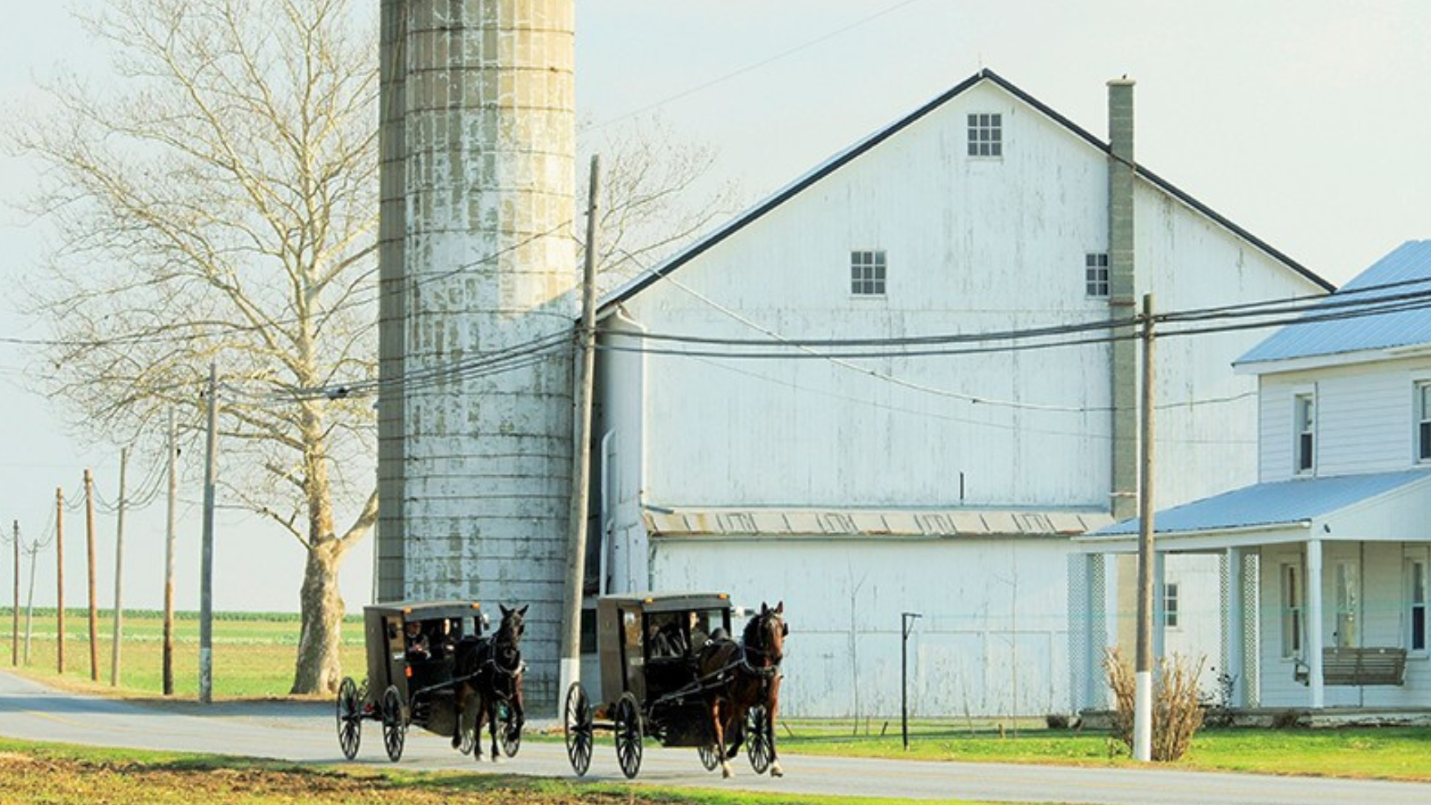 2 Buggies in Amish Country Lancaster County