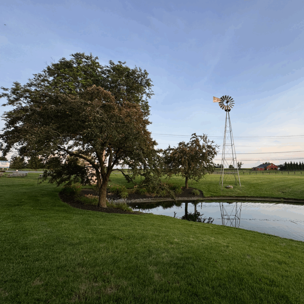 The Windmill at Plain & Fancy Farm In Bird-in-Hand PA